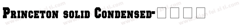 Princeton solid Condensed字体转换